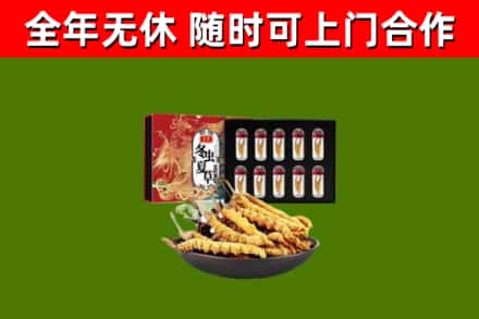 琼海市回收冬虫夏草价格